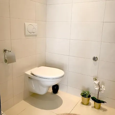 Luxury Designer Apartment With Terrace In Center ヴィラ